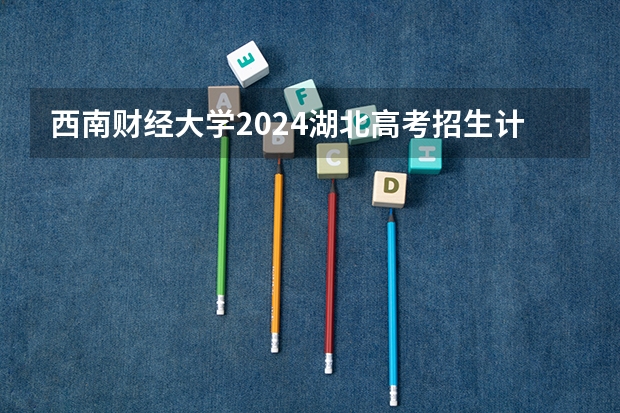 西南财经大学2024湖北高考招生计划详解