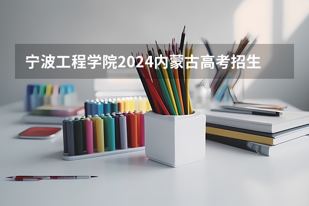 宁波工程学院2024内蒙古高考招生计划详解