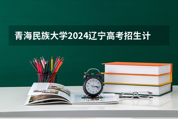 青海民族大学2024辽宁高考招生计划详解