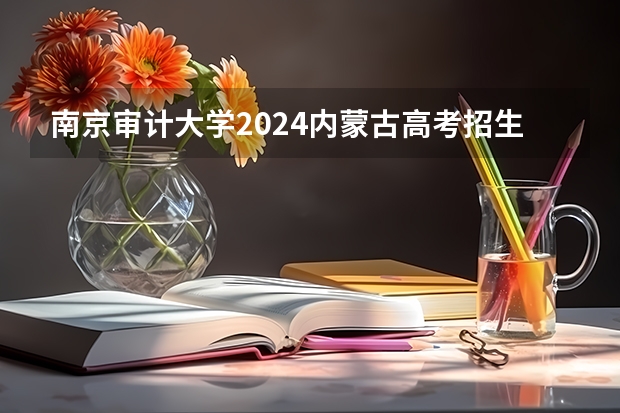 南京审计大学2024内蒙古高考招生计划详解