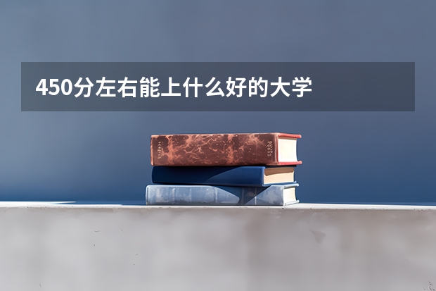 450分左右能上什么好的大学