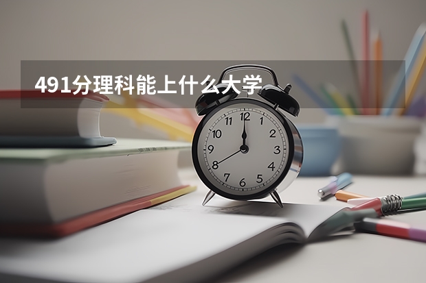491分理科能上什么大学