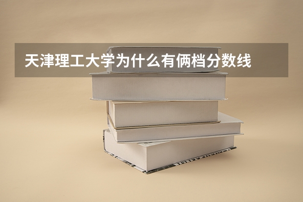 天津理工大学为什么有俩档分数线