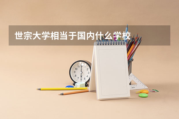 世宗大学相当于国内什么学校