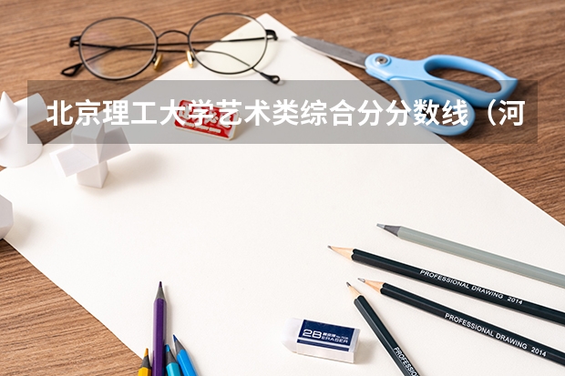 北京理工大学艺术类综合分分数线（河北省211录取位次）