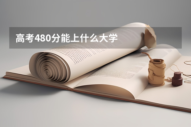 高考480分能上什么大学