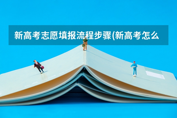 新高考志愿填报流程步骤(新高考怎么填报志愿)