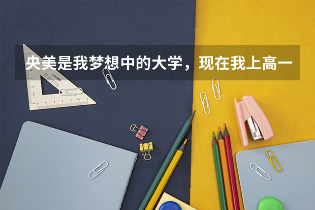 央美是我梦想中的大学，现在我上高一，我行吗