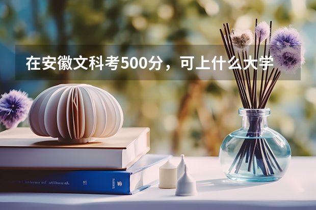 在安徽文科考500分，可上什么大学文科的我