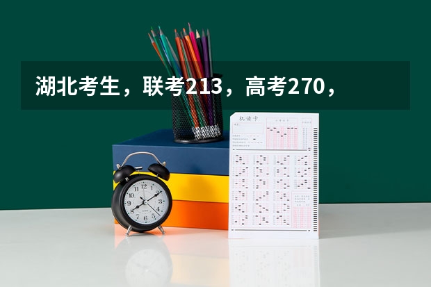 湖北考生，联考213，高考270，可以上广东轻工业学院吗？？