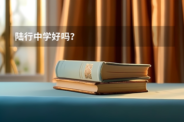陆行中学好吗？