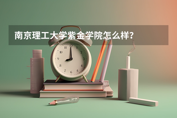 南京理工大学紫金学院怎么样？