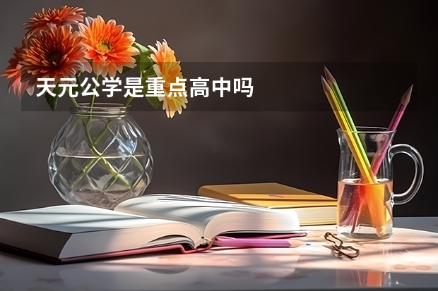 天元公学是重点高中吗