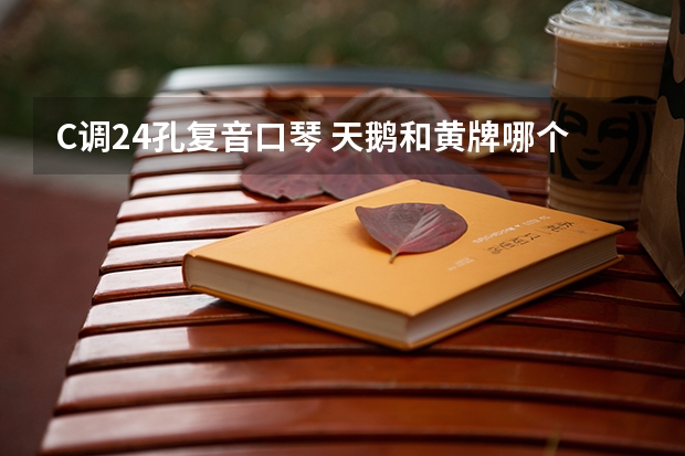 C调24孔复音口琴 天鹅和黄牌哪个音质好