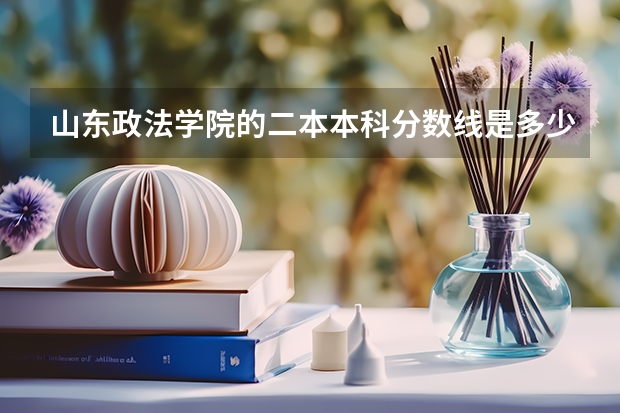 山东政法学院的二本本科分数线是多少？