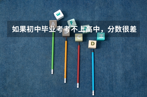 如果初中毕业考考不上高中，分数很差那怎么办？