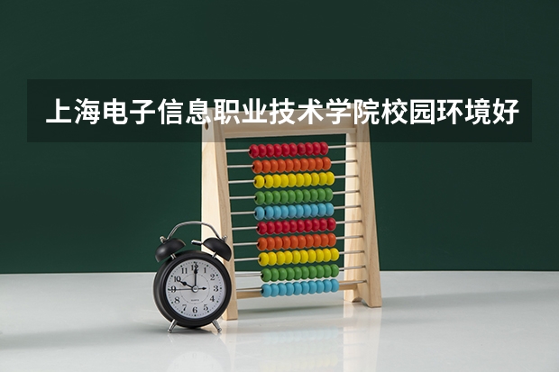 上海电子信息职业技术学院校园环境好吗 上海电子信息职业技术学院学费贵不贵