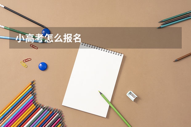 小高考怎么报名