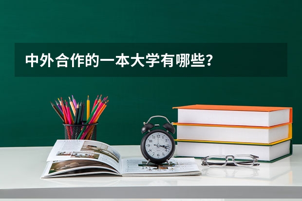 中外合作的一本大学有哪些？
