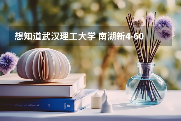 想知道武汉理工大学 南湖新4-603 ，在哪个院？