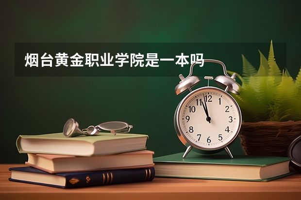烟台黄金职业学院是一本吗
