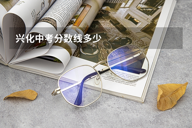 兴化中考分数线多少