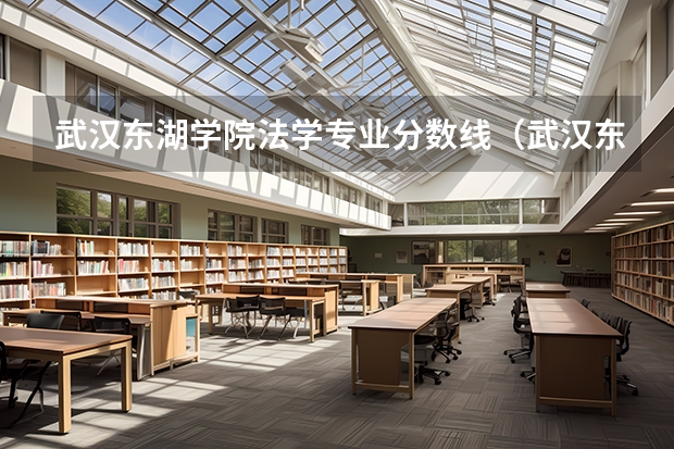 武汉东湖学院法学专业分数线（武汉东湖学院分数线）