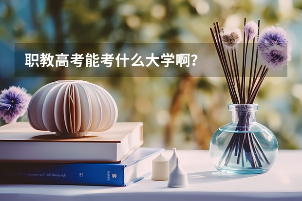 职教高考能考什么大学啊？