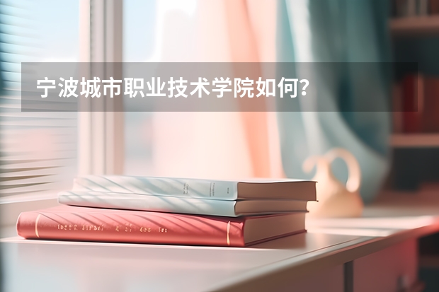 宁波城市职业技术学院如何？
