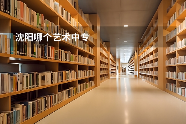 沈阳哪个艺术中专