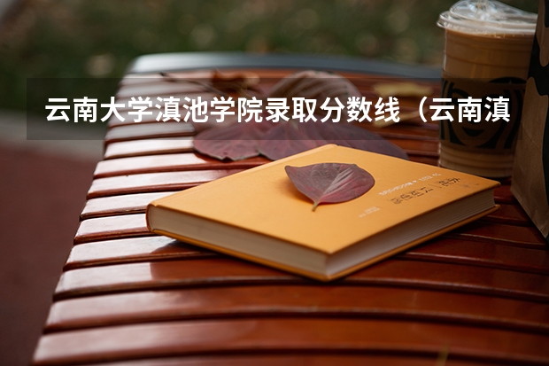 云南大学滇池学院录取分数线（云南滇池学院录取分数线）