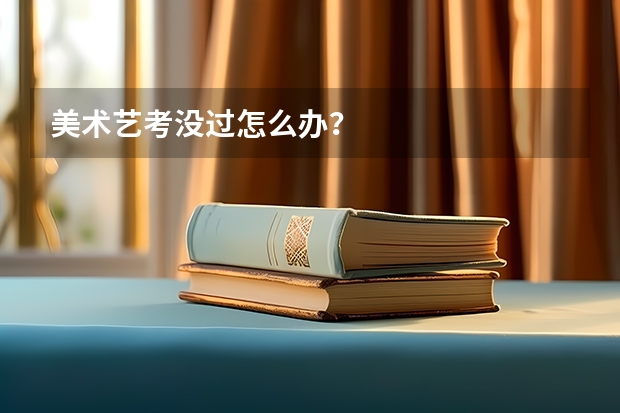 美术艺考没过怎么办？