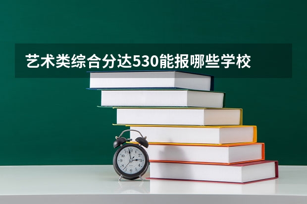 艺术类综合分达530能报哪些学校