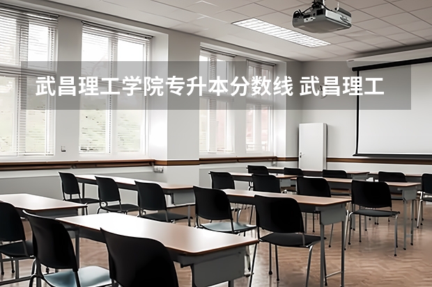 武昌理工学院专升本分数线 武昌理工学院是几本