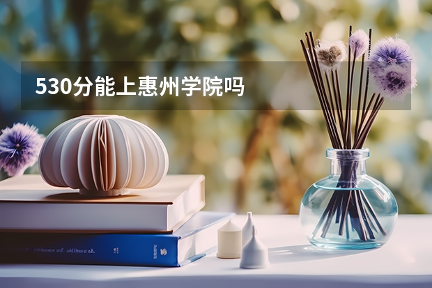 530分能上惠州学院吗
