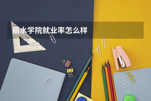丽水学院就业率怎么样