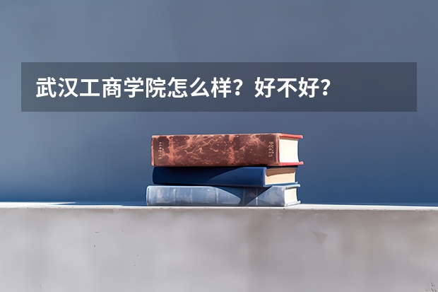 武汉工商学院怎么样？好不好？