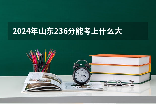 2024年山东236分能考上什么大学？