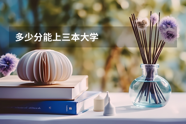 多少分能上三本大学