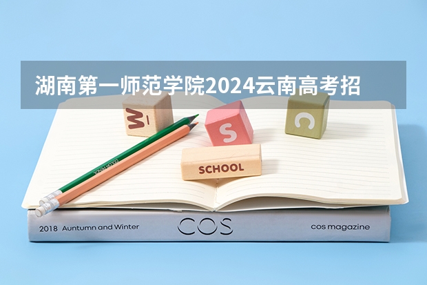 湖南第一师范学院2024云南高考招生计划详解