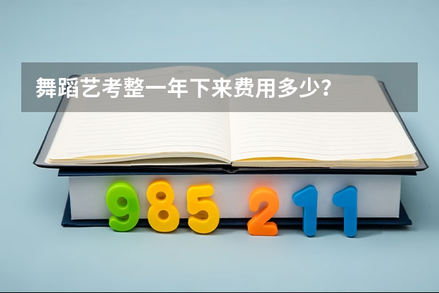 舞蹈艺考整一年下来费用多少？