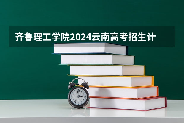 齐鲁理工学院2024云南高考招生计划详解