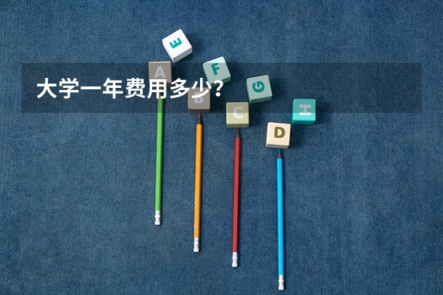 大学一年费用多少？