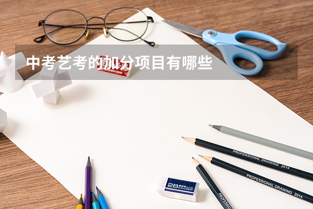 中考艺考的加分项目有哪些
