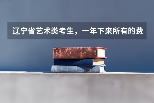 辽宁省艺术类考生，一年下来所有的费用由多少，谁知道