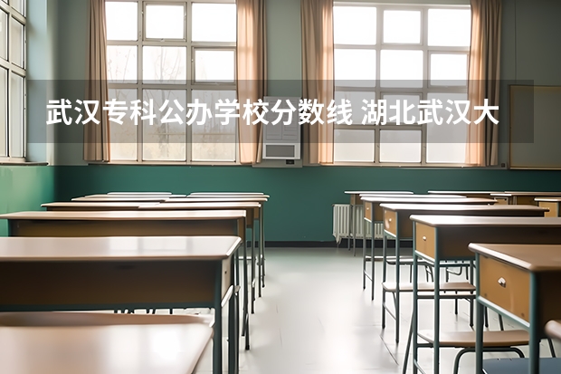 武汉专科公办学校分数线 湖北武汉大专分数线