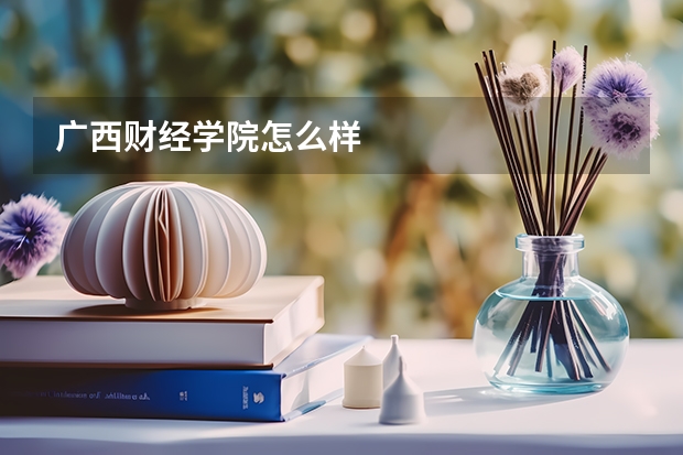 广西财经学院怎么样