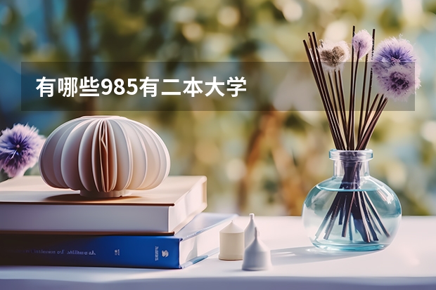 有哪些985有二本大学