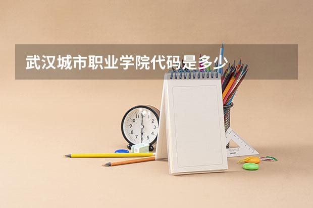 武汉城市职业学院代码是多少