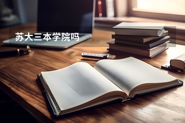 苏大三本学院吗
